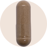 Full Spectrum Astragalus Root